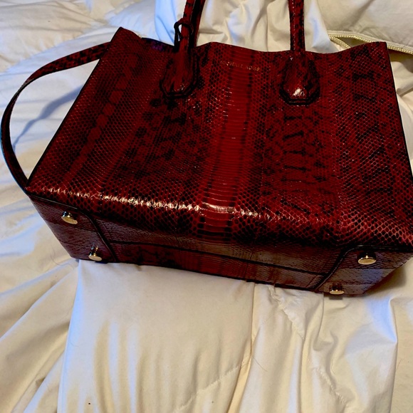 mercer snakeskin crossbody